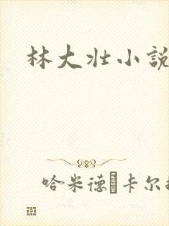 林大壮小说阅读封面