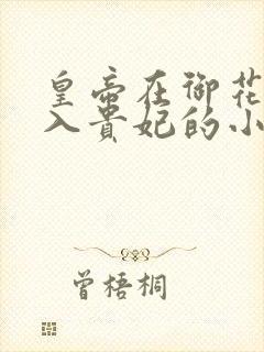 皇帝在御花园进入贵妃的小说