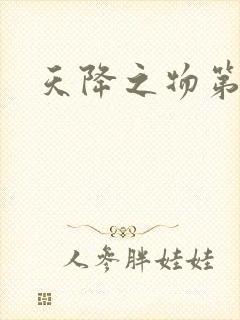 天降之物第一季