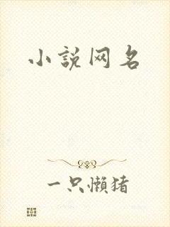 小说网名