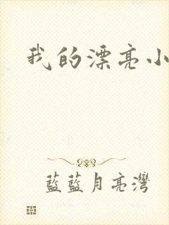 我的漂亮小后妈