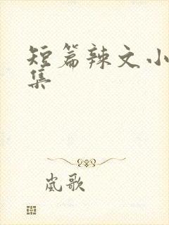 短篇辣文小说合集