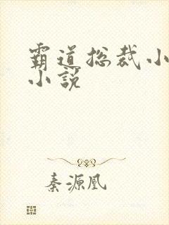 霸道总裁小娇妻小说