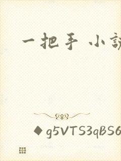 一把手 小说