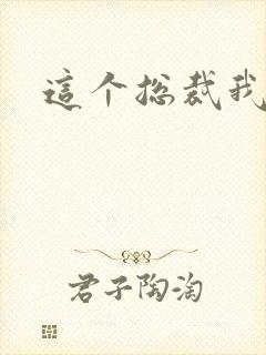 这个总裁我要了