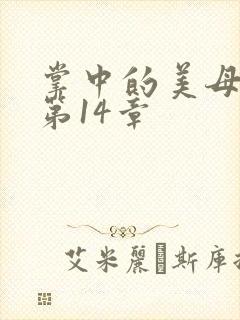 掌中的美母版主第14章