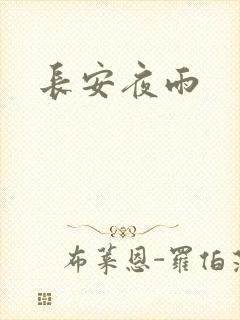 长安夜雨