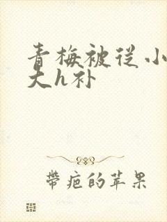 青梅被从小摸到大h补