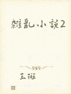 杂乱小说2