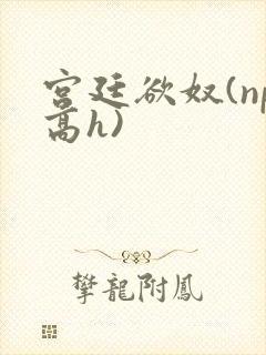 宫廷欲奴(np高h)