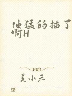 他猛的插了进去啊H