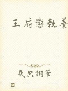 王府惩教养日常