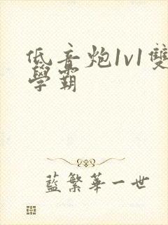 低音炮1v1双学霸封面