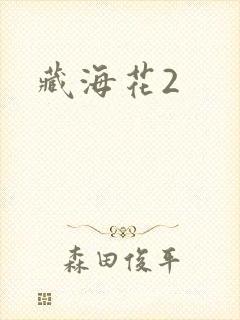 藏海花2