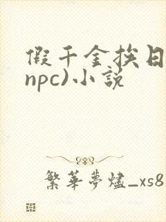 假千金挨日记(npc)小说