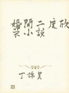 婚开二度欣欣向荣小说