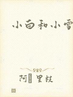 小白和小雪