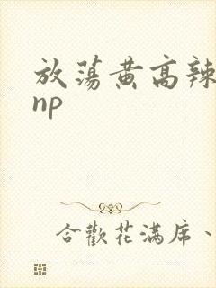 放荡黄高辣h文np