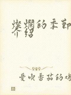 灿烂的季节剧情介绍