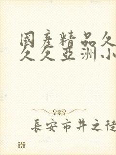 国产精品久久久久久亚洲小说