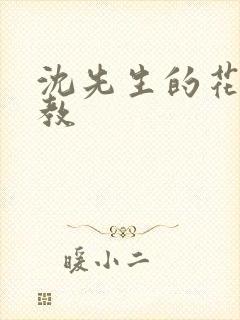 沈先生的花式管教