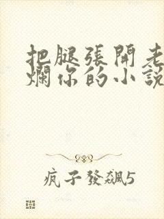 把腿张开老子臊烂你的小说