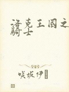 洛克王国之圣龙骑士