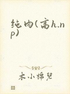 纯肉(高h.np)