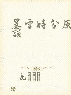 暴雪时分原著小说
