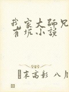 我家大师兄脑子有坑小说