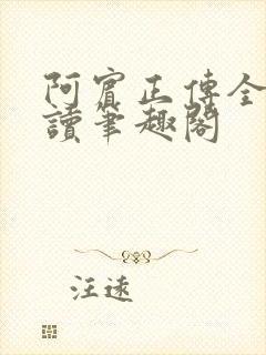 阿宾正传全文阅读笔趣阁