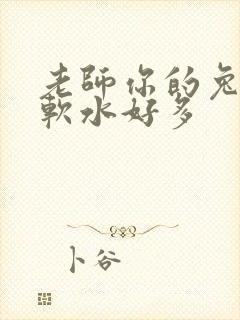老师你的兔子好软水好多