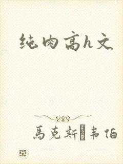 纯肉高h文