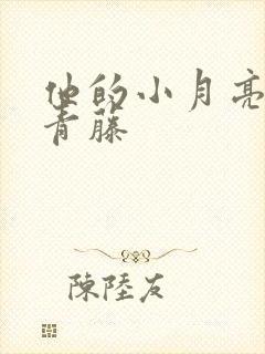 他的小月亮by青藤