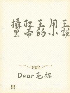 摄政王用玉髓整皇帝的小说