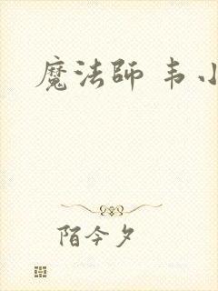 魔法师 韦小宝