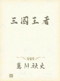 《三国王者》小说封面