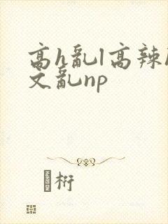 高h乱l高辣h文乱np