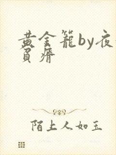黄金笼by夜很贫瘠