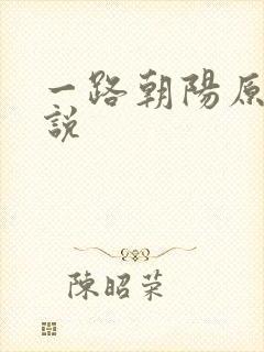 一路朝阳原著小说
