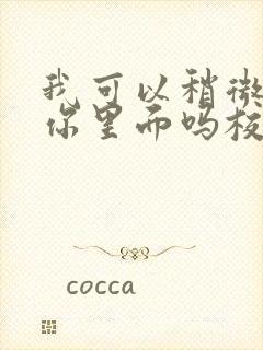 我可以稍微放进你里面吗校园版