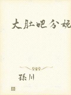 《大肚吧分娩小说》小说封面