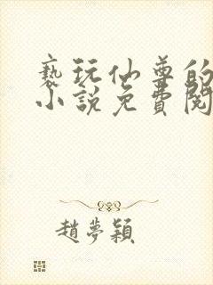 亵玩仙尊的道侣小说免费阅读