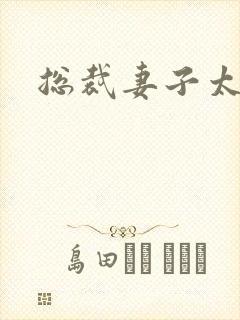 总裁妻子太诱人