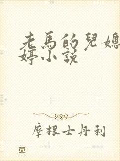 老马的儿媳顾婉婷小说