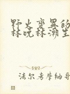 野火变异的父爱林晚林潮生