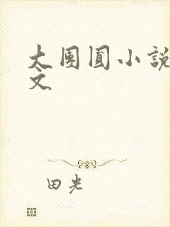 大团圆小说集全文