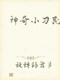 神奇小刁民