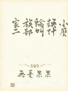 家族轮换小说第二部叫什么名字