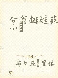 公翁挺进苏玥的小泬
